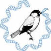 Darwin logo