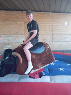 A rodeo bull was one of the attractions at Under the Bridge